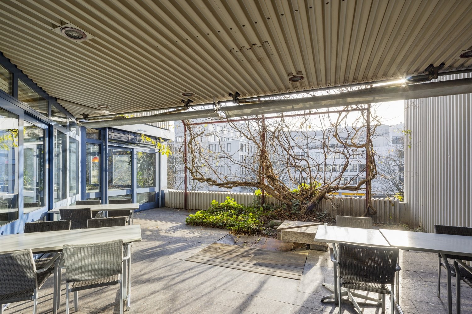 800m² ristorante