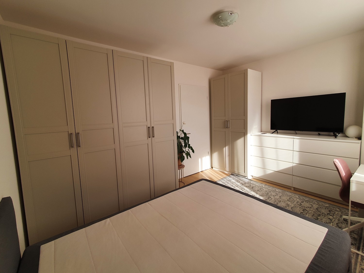 Appartement de 2 ½ pièces
