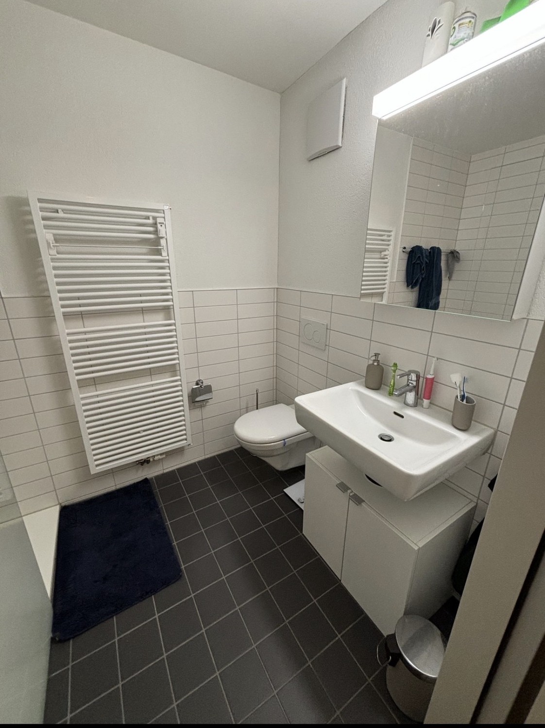 2 ½ Zimmer Wohnung