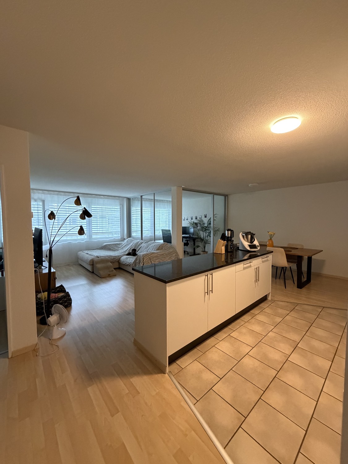 Appartement de 2 ½ pièces