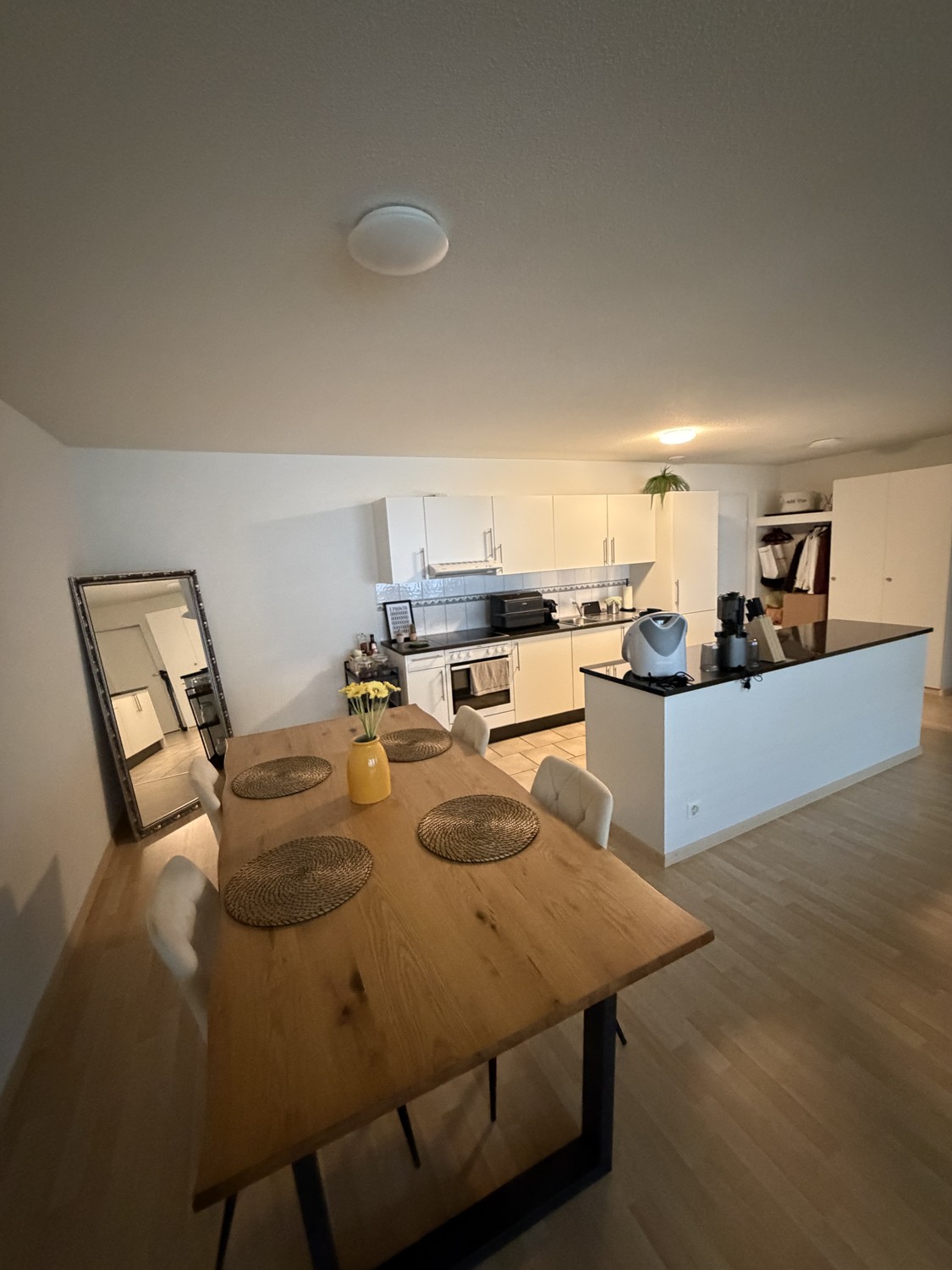 Appartement de 2 ½ pièces
