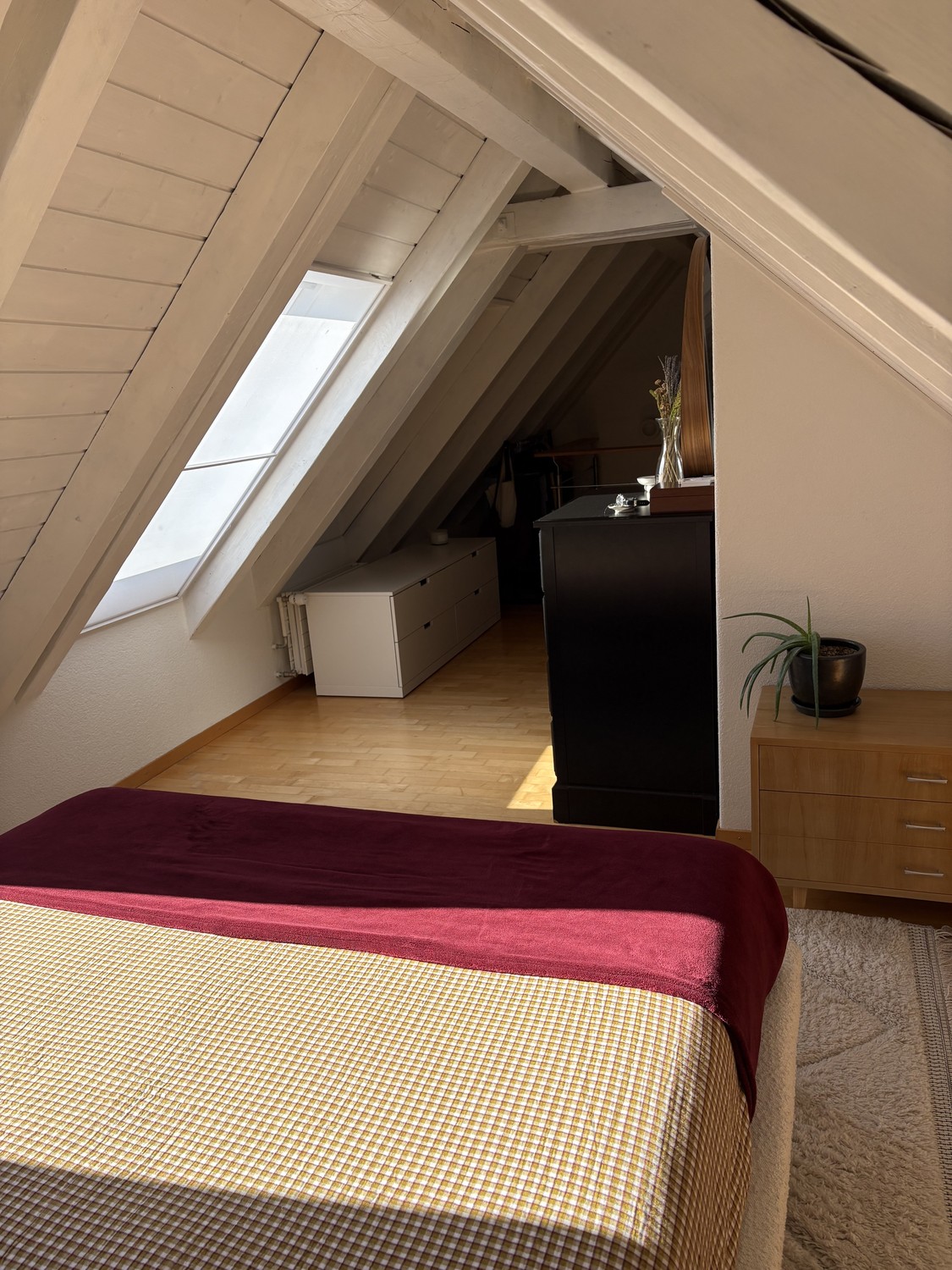 Appartement de 2 ½ pièces