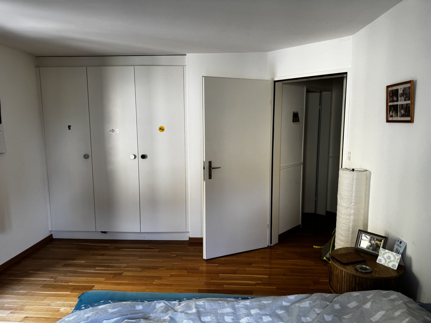 Stanze in appartamento condiviso