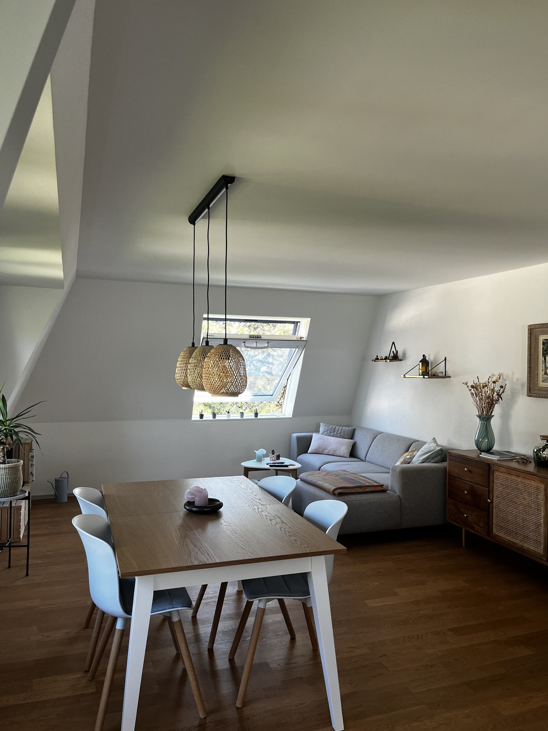 Room in a shared flat