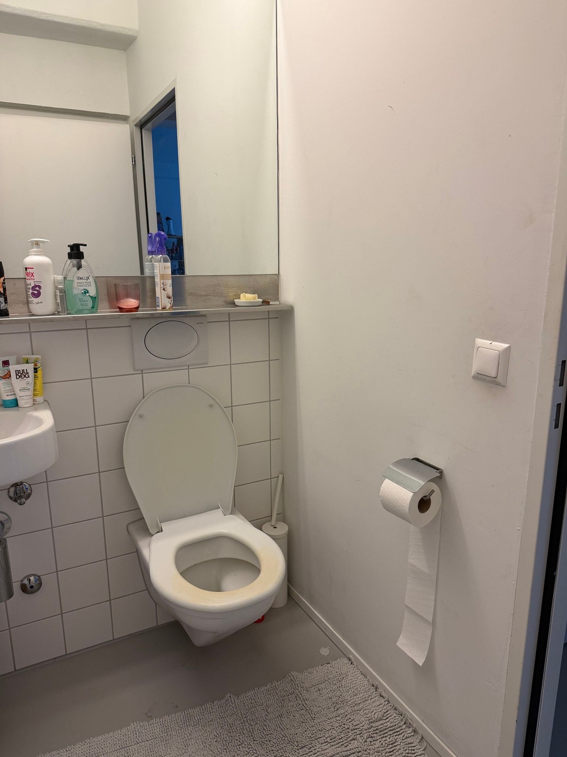 2 ½ Zimmer Wohnung