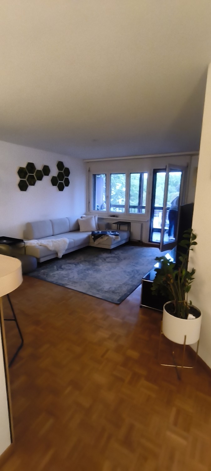 Appartement de 2 ½ pièces