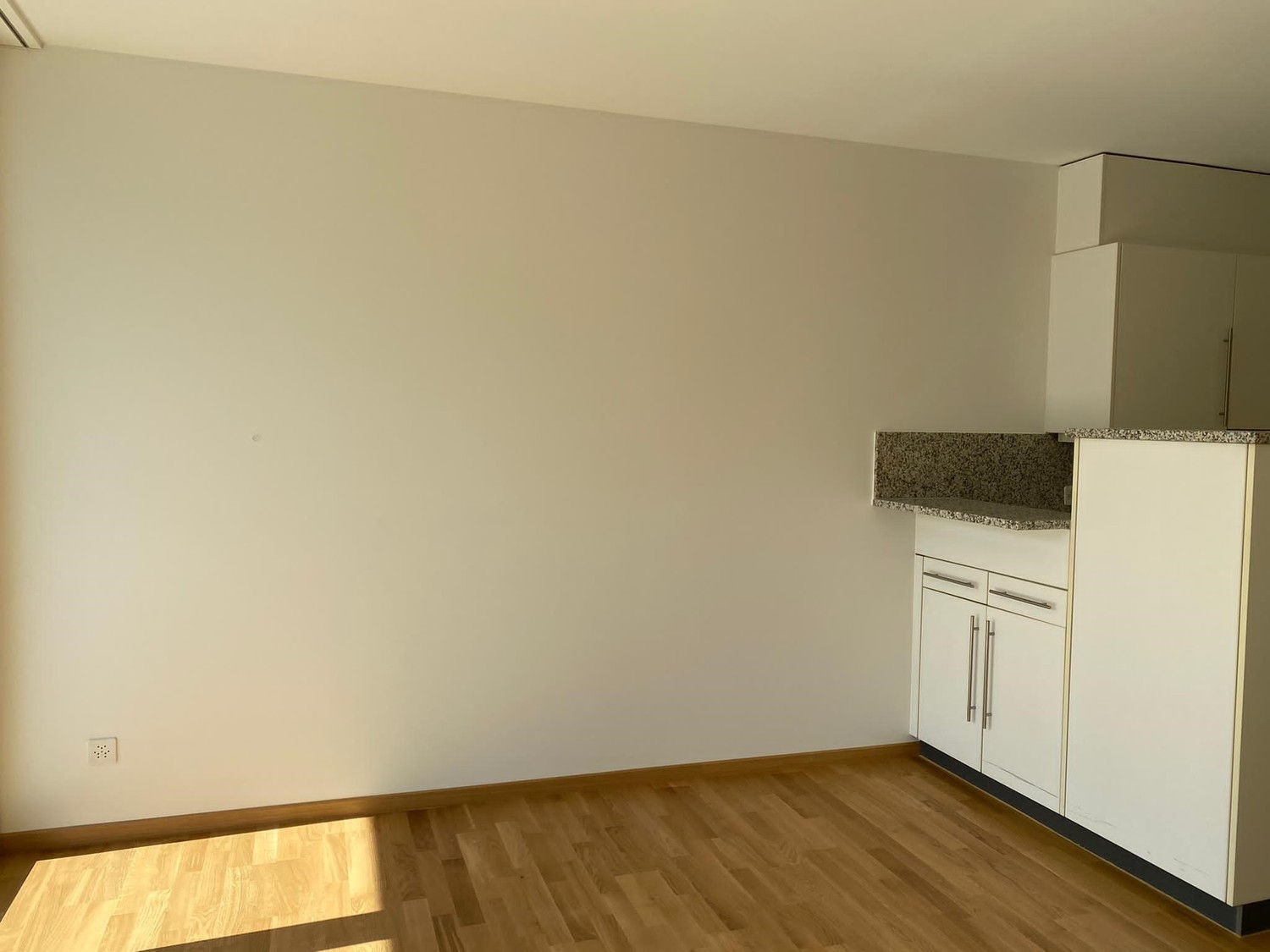 Appartement de 3 ½ pièces
