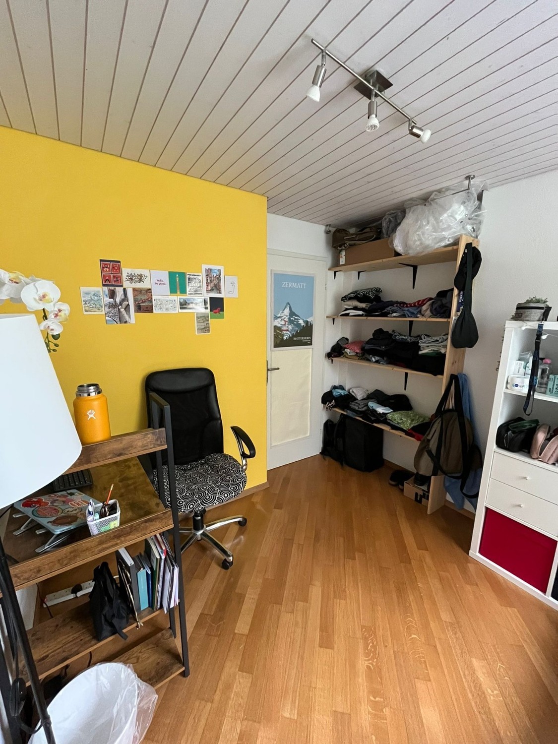Room in a shared flat