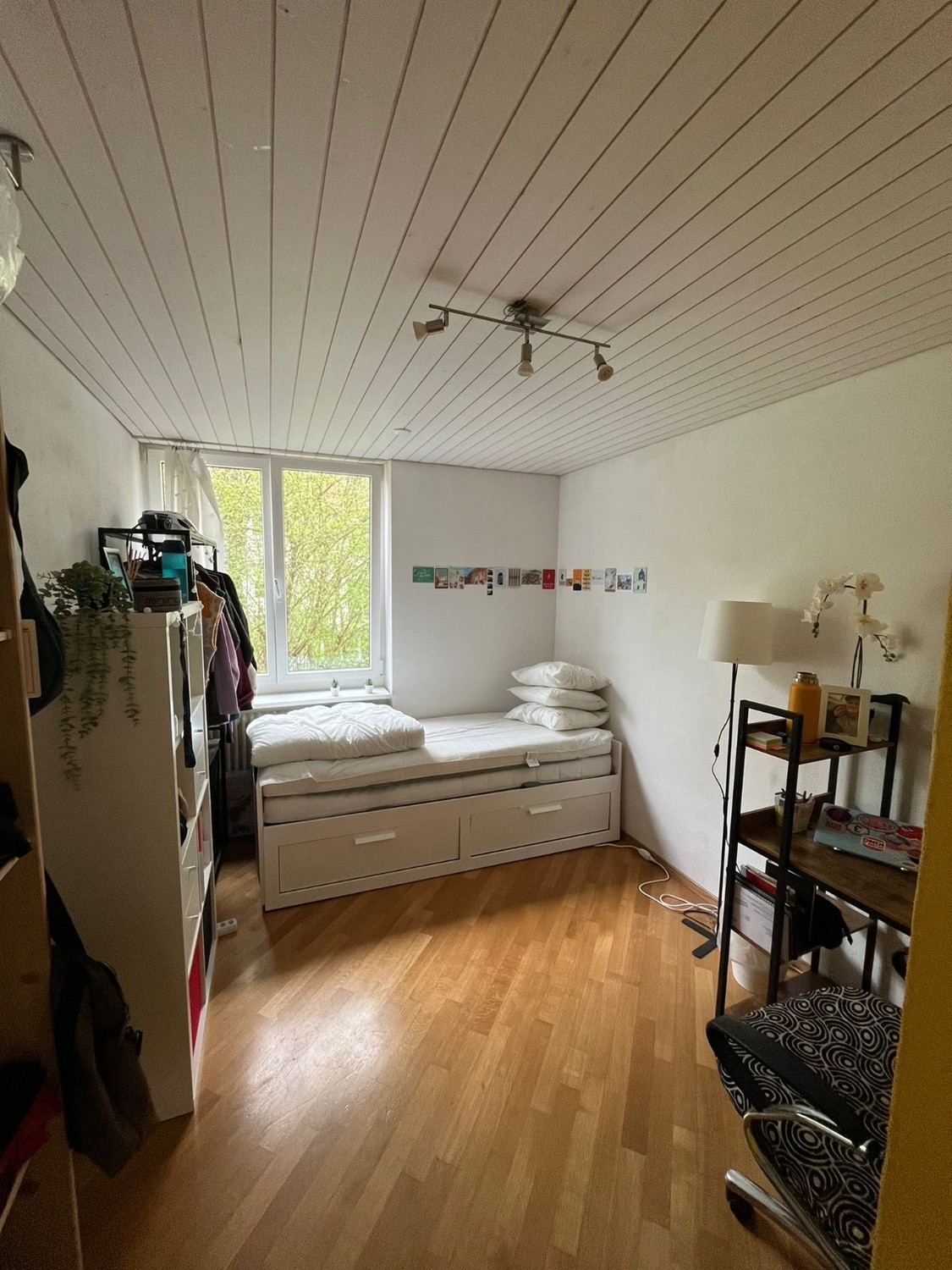 Room in a shared flat