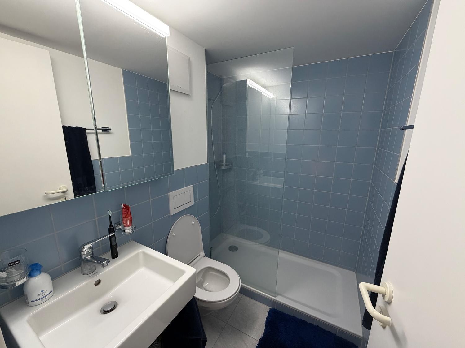 Appartamento di 2 ½ locali