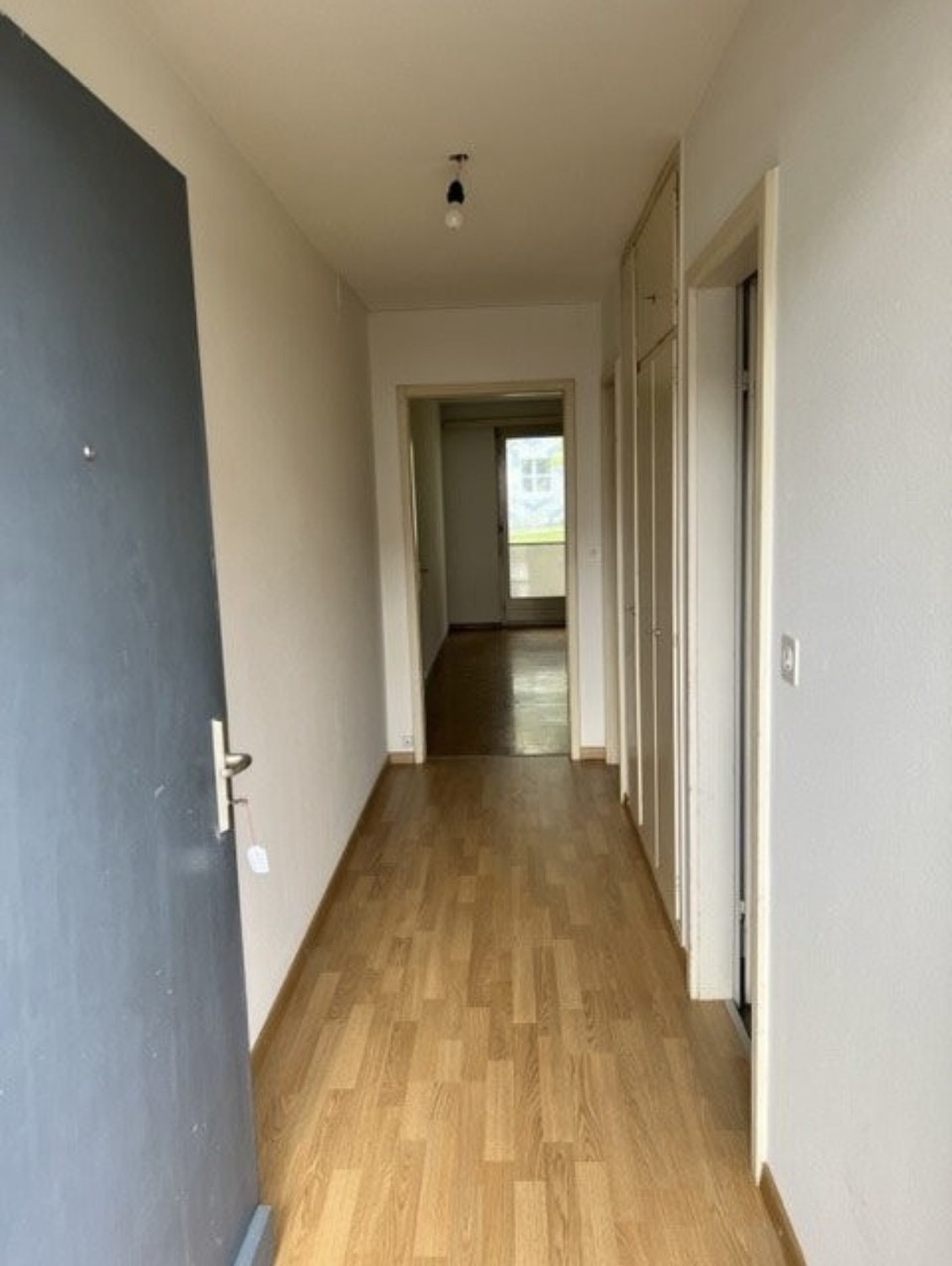 appartement 1 pièce