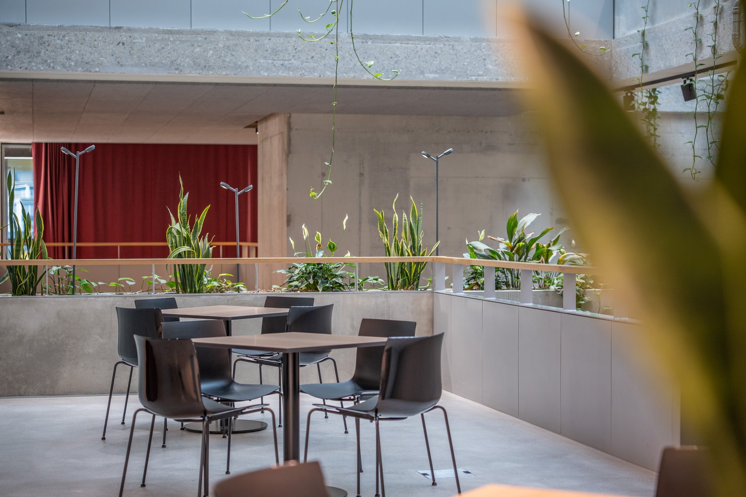 460m² commercial