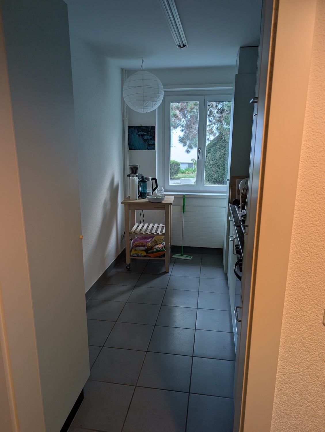 2 ½ Zimmer Wohnung