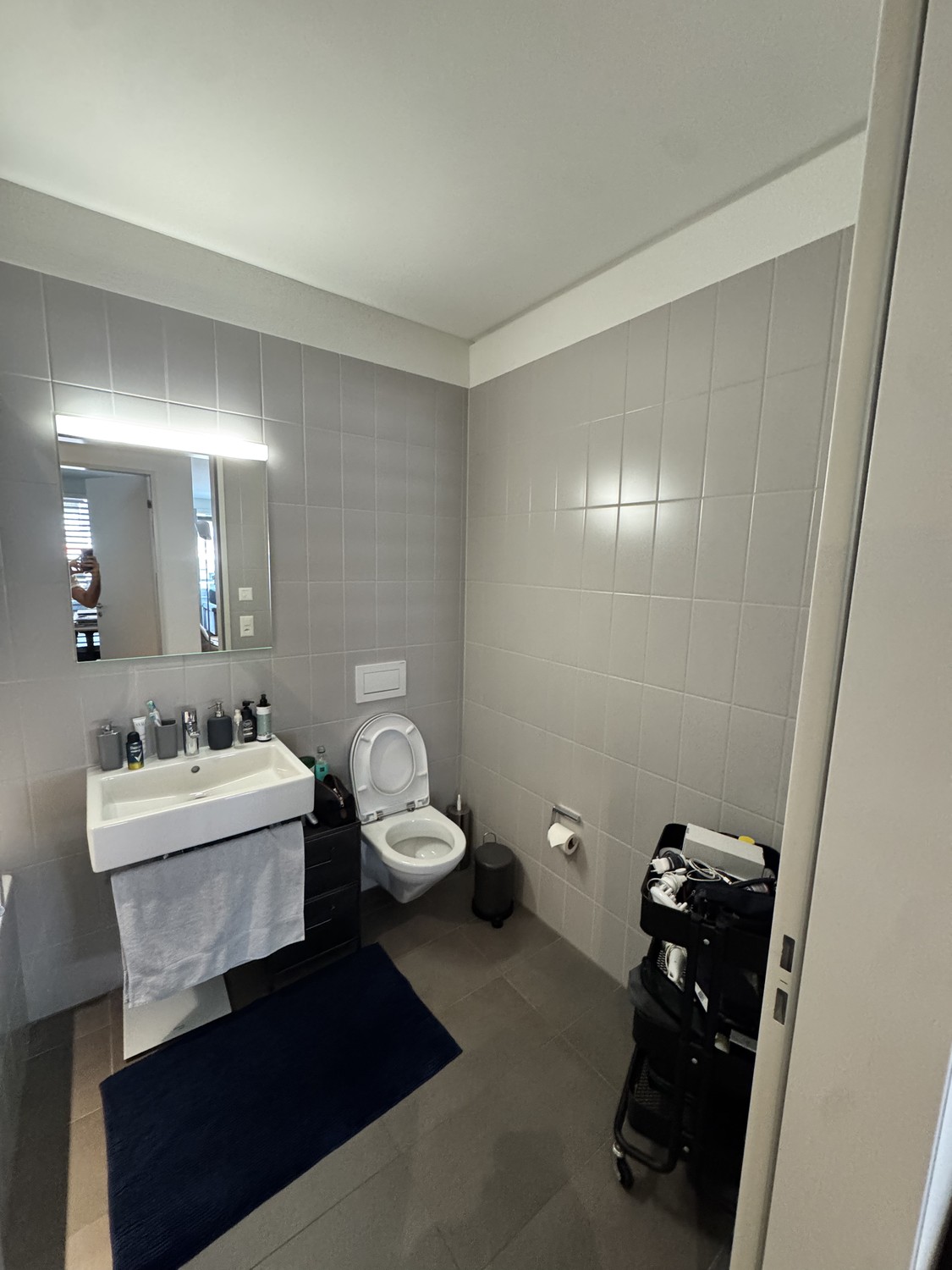2 ½ Zimmer-Wohnung