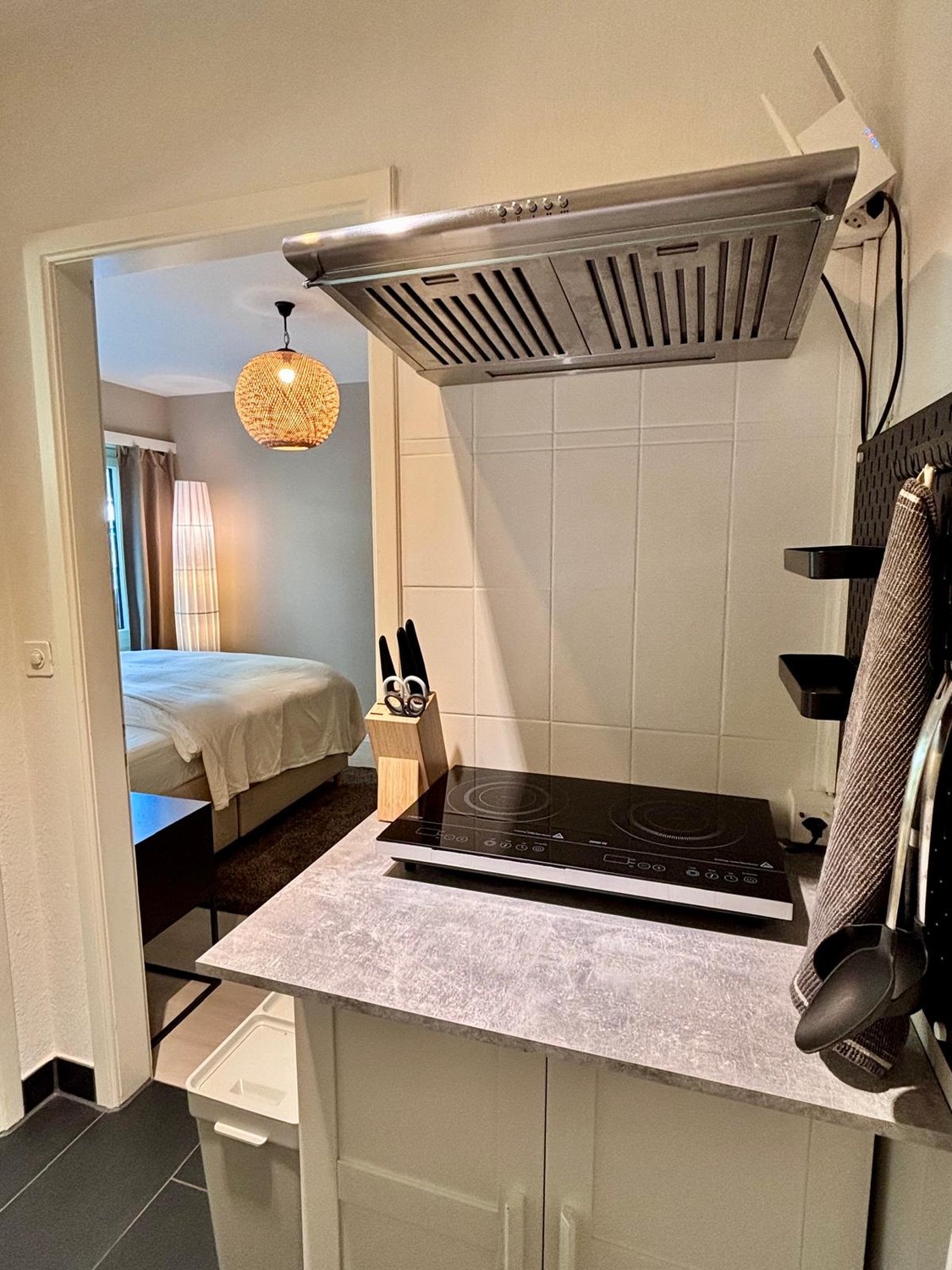 appartement meublé 1 pièce
