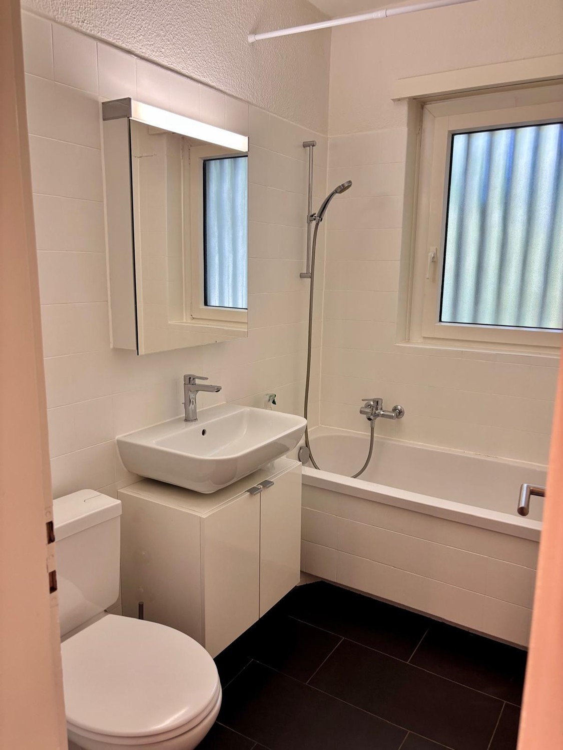 appartement meublé 1 pièce