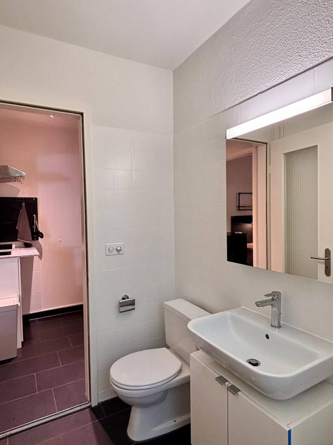 appartement meublé 1 pièce