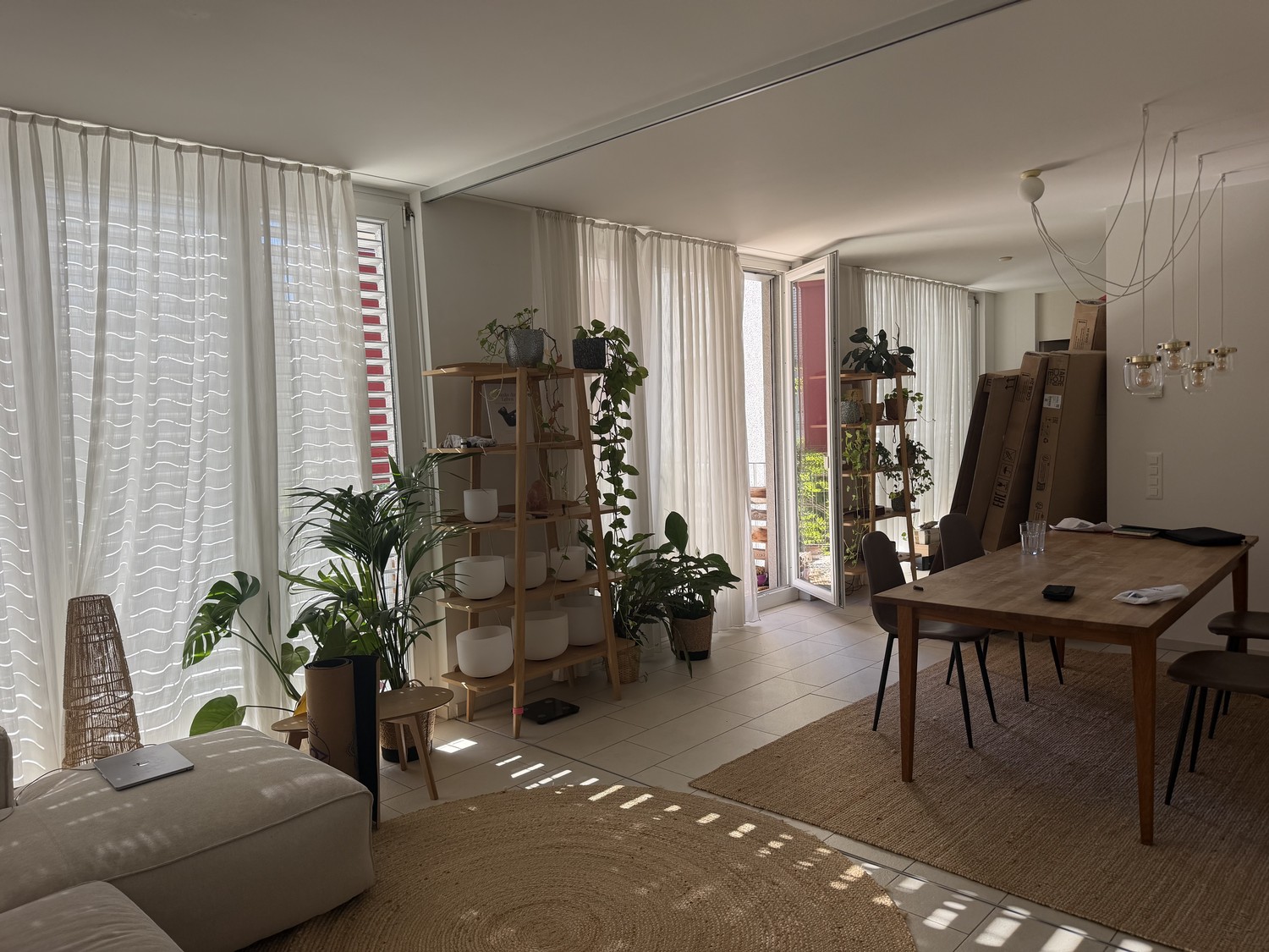 appartement 1 pièce