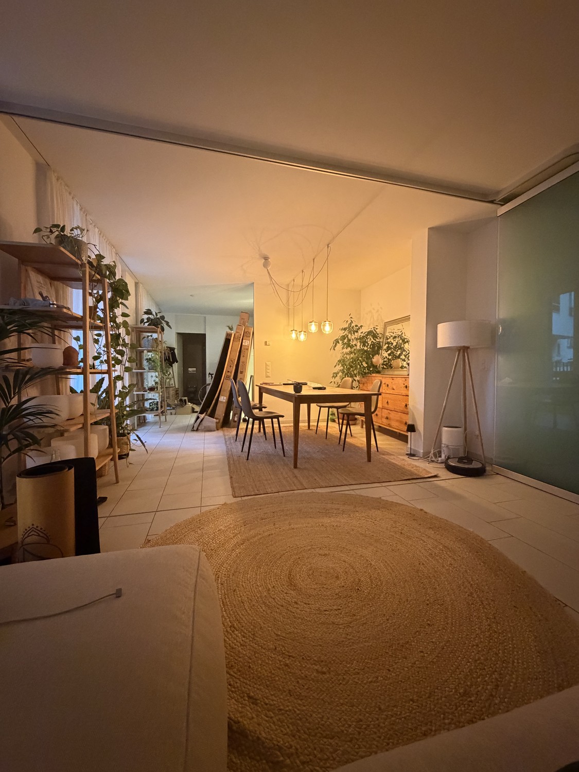 appartement 1 pièce