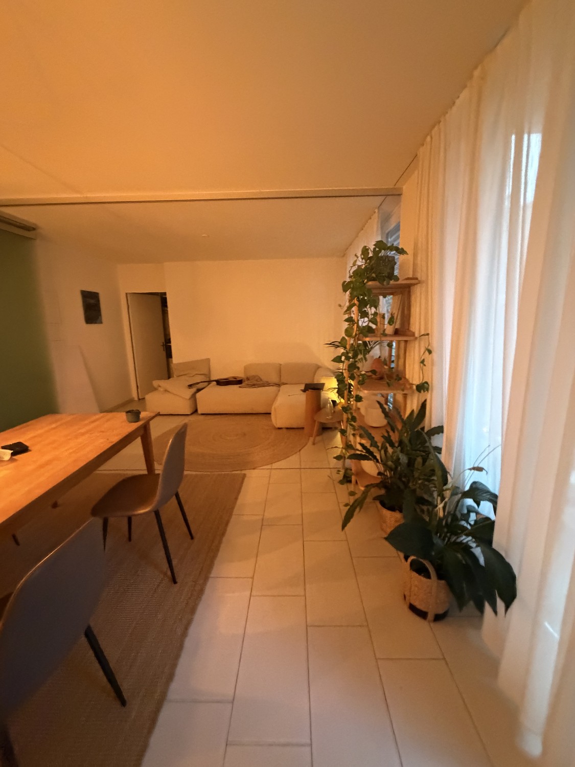 appartement 1 pièce