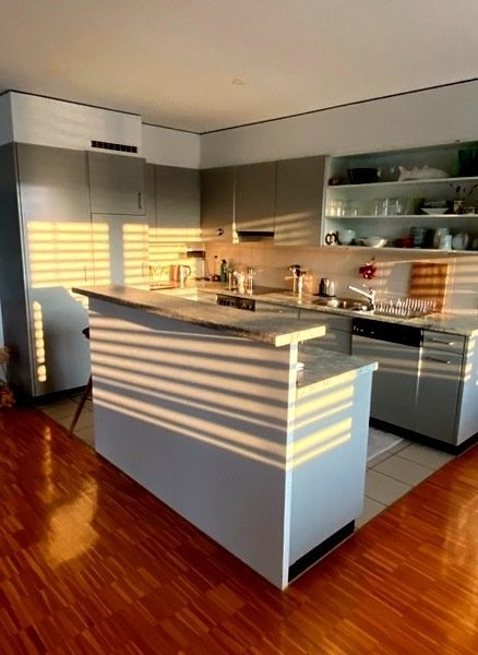 Appartamento arredato di 3 ½ locali, foto 4 di 8