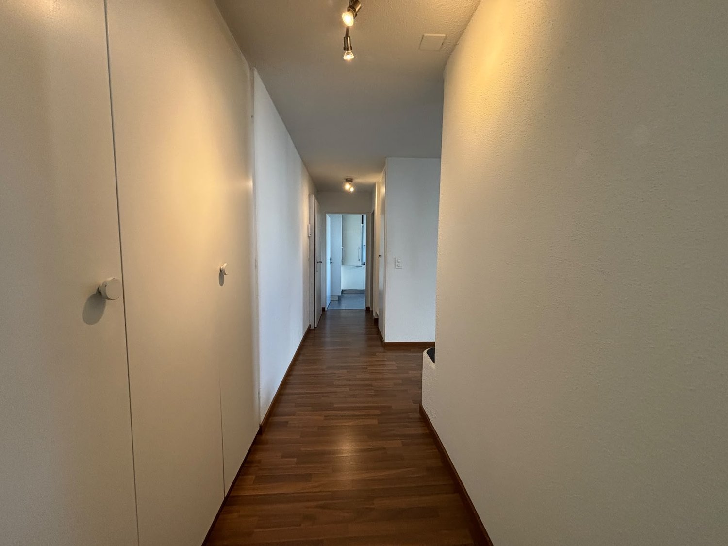 Appartement de 2 ½ pièces