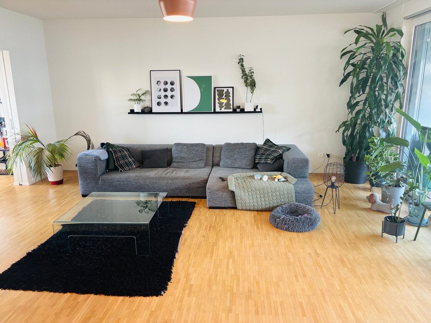 Zimmer in einer WG