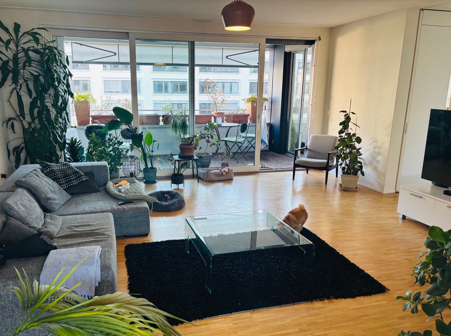 Zimmer in einer WG