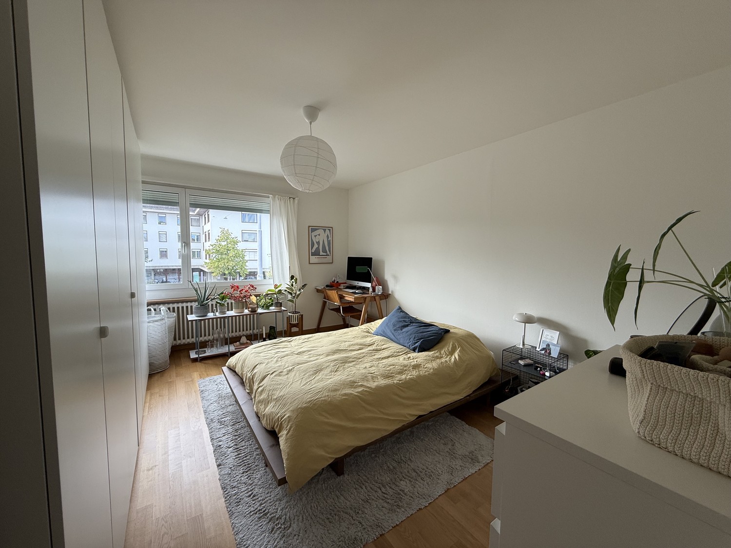 appartement 1 pièce