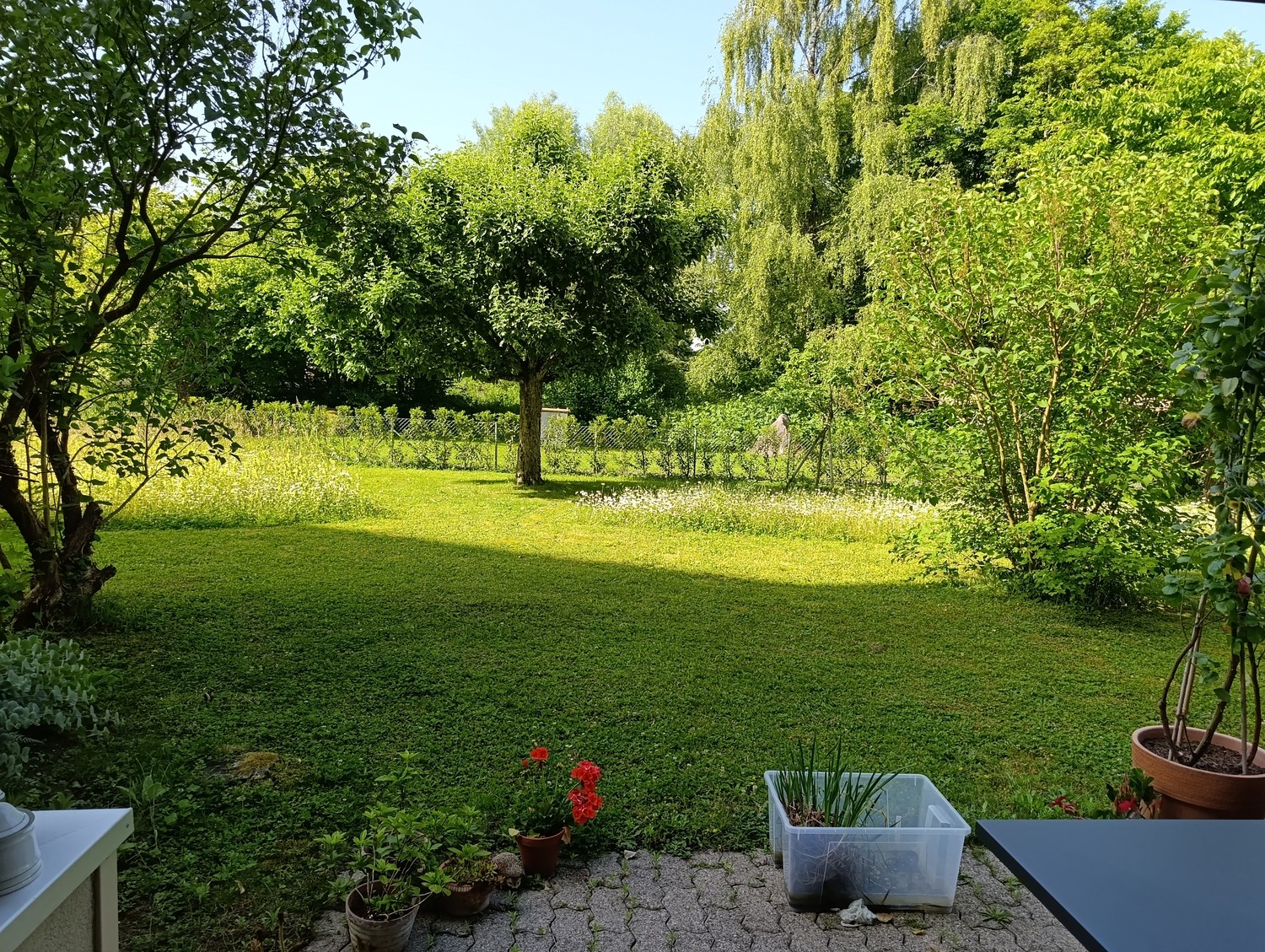 Appartamento di 2 ½ locali