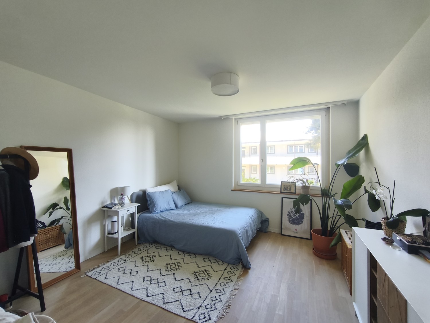 2 ½ Zimmer-Wohnung