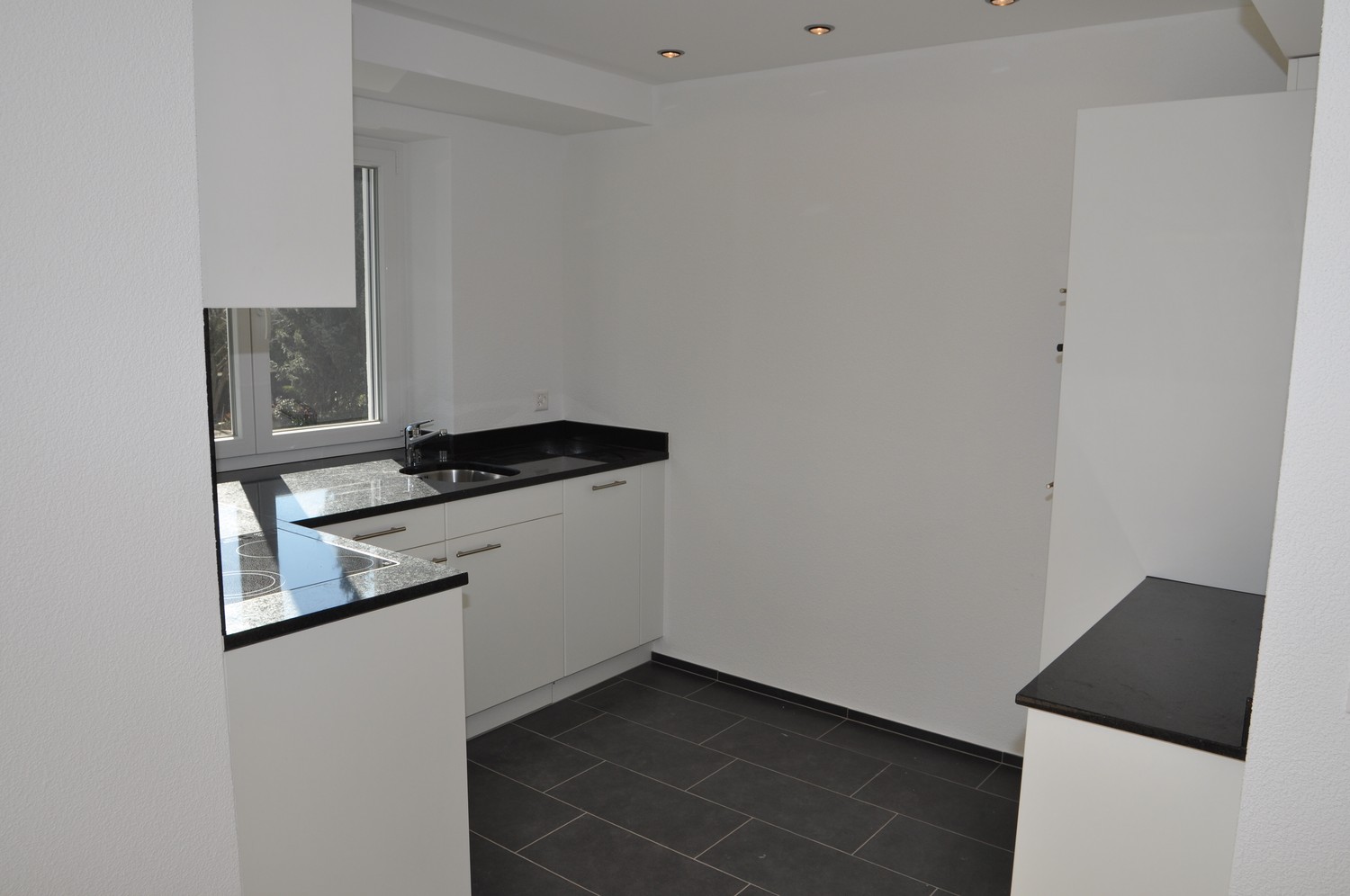 Appartement de 1 ½ pièce