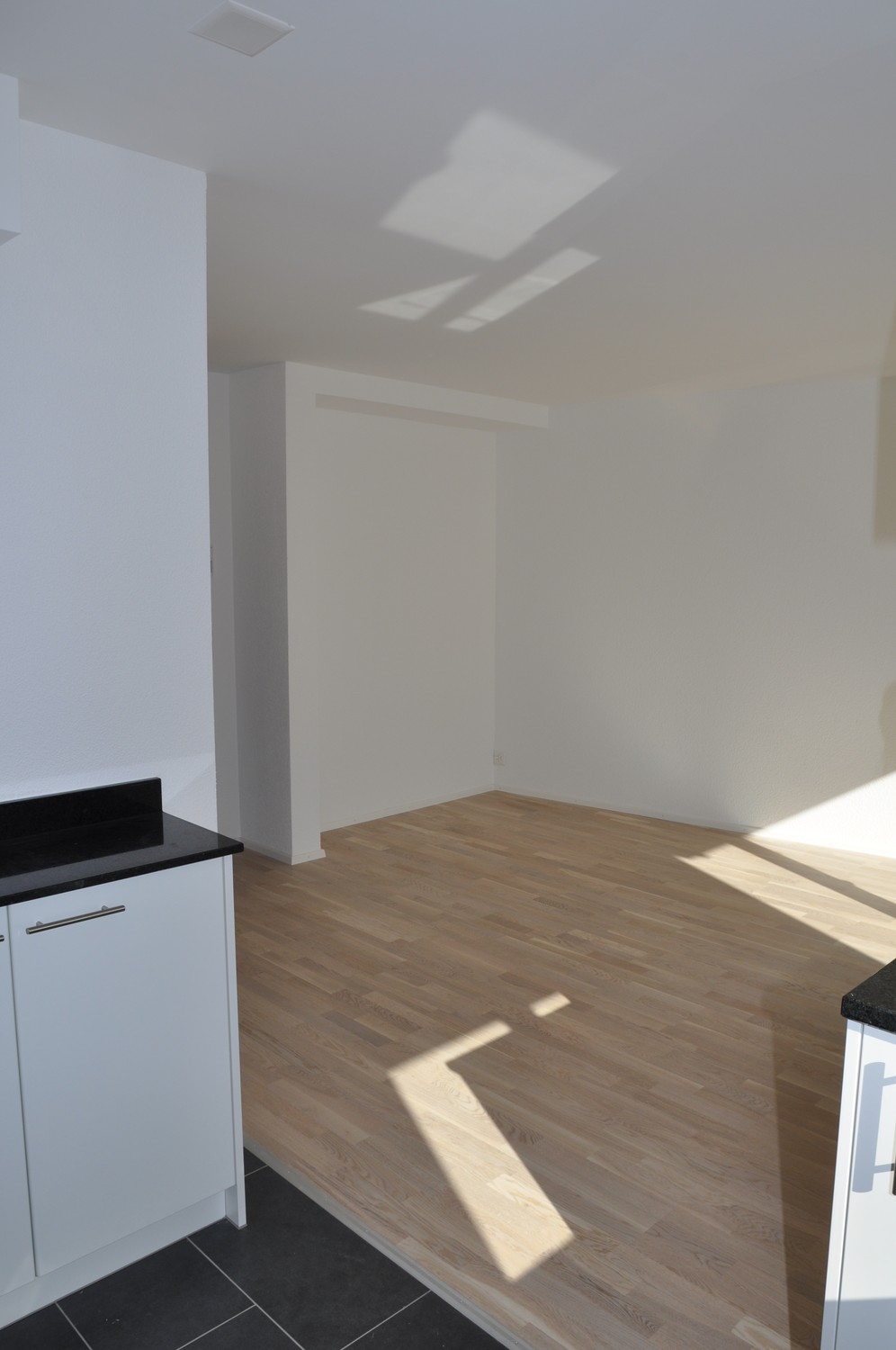 Appartement de 1 ½ pièce
