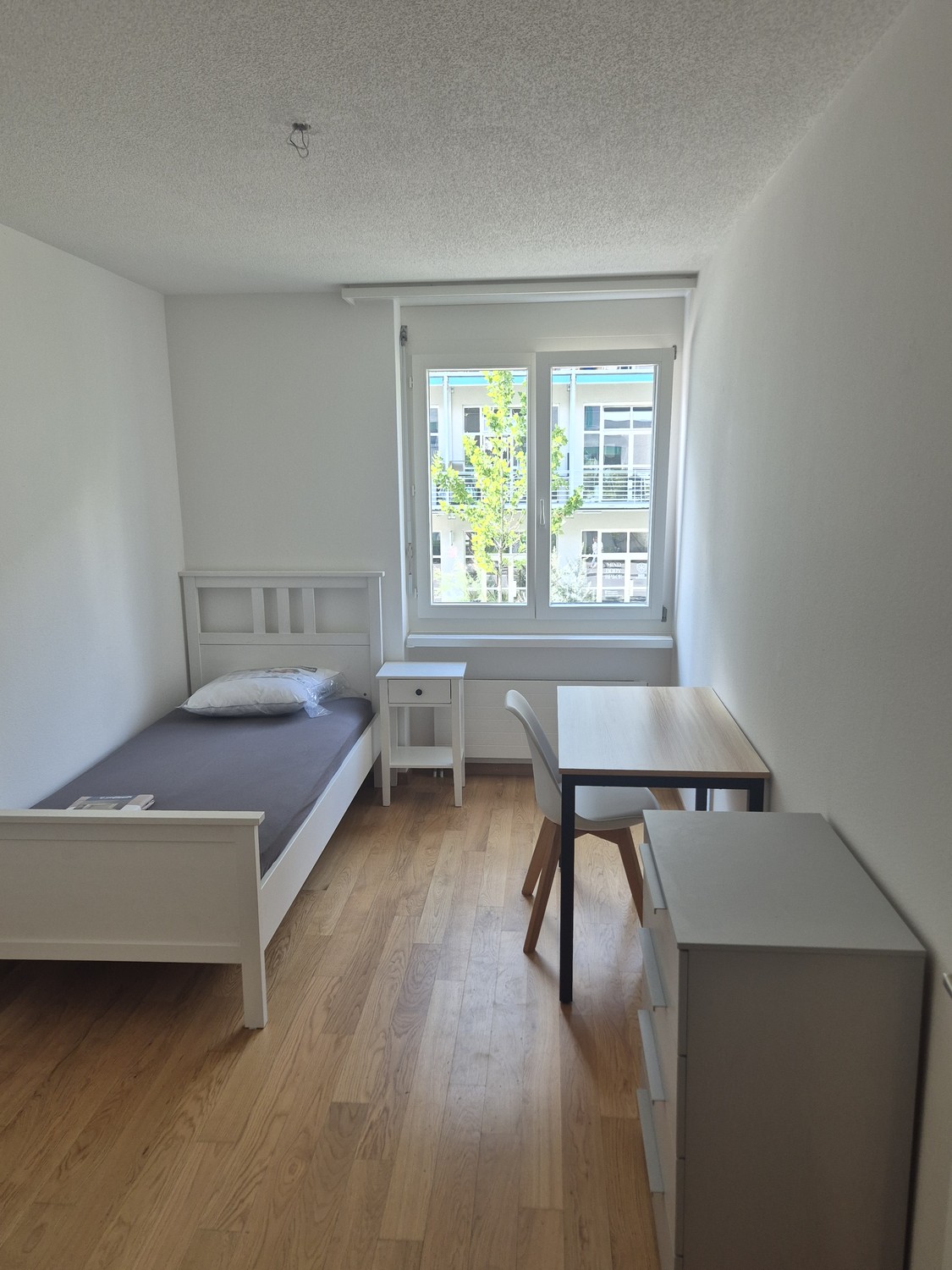 Room in a shared flat