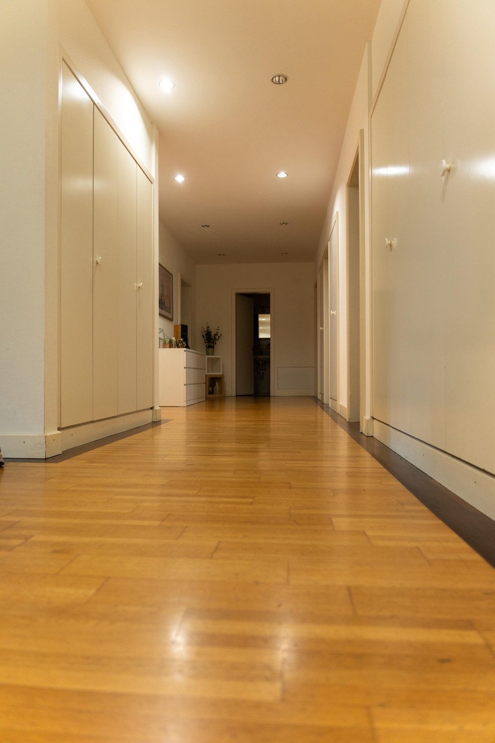 Chambre en colocation