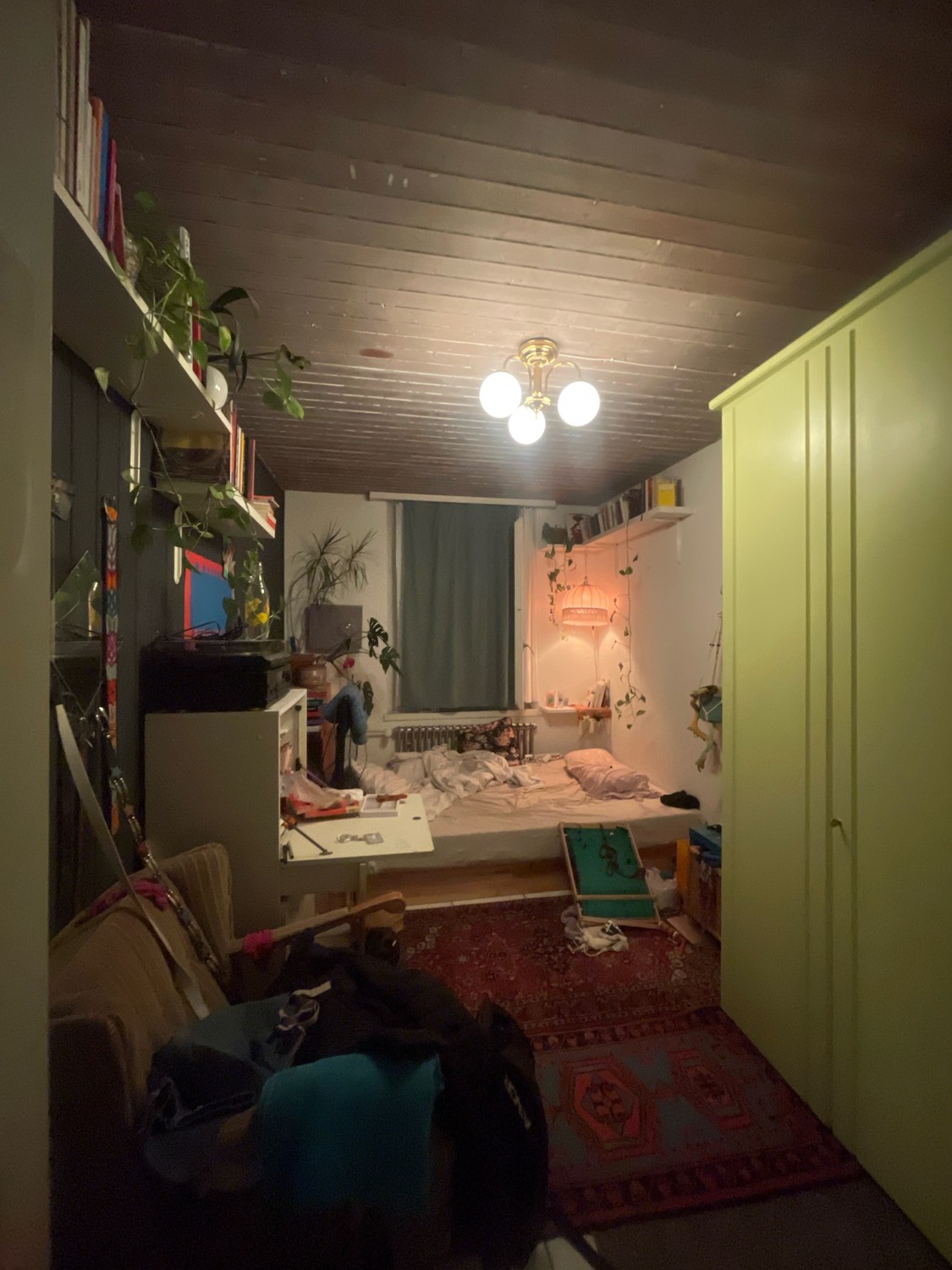 Room in a shared flat