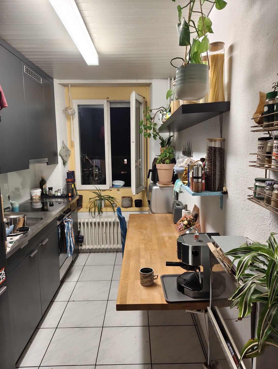 Room in a shared flat