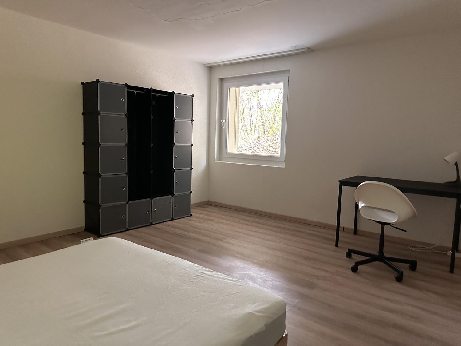 Chambre dans une colocation