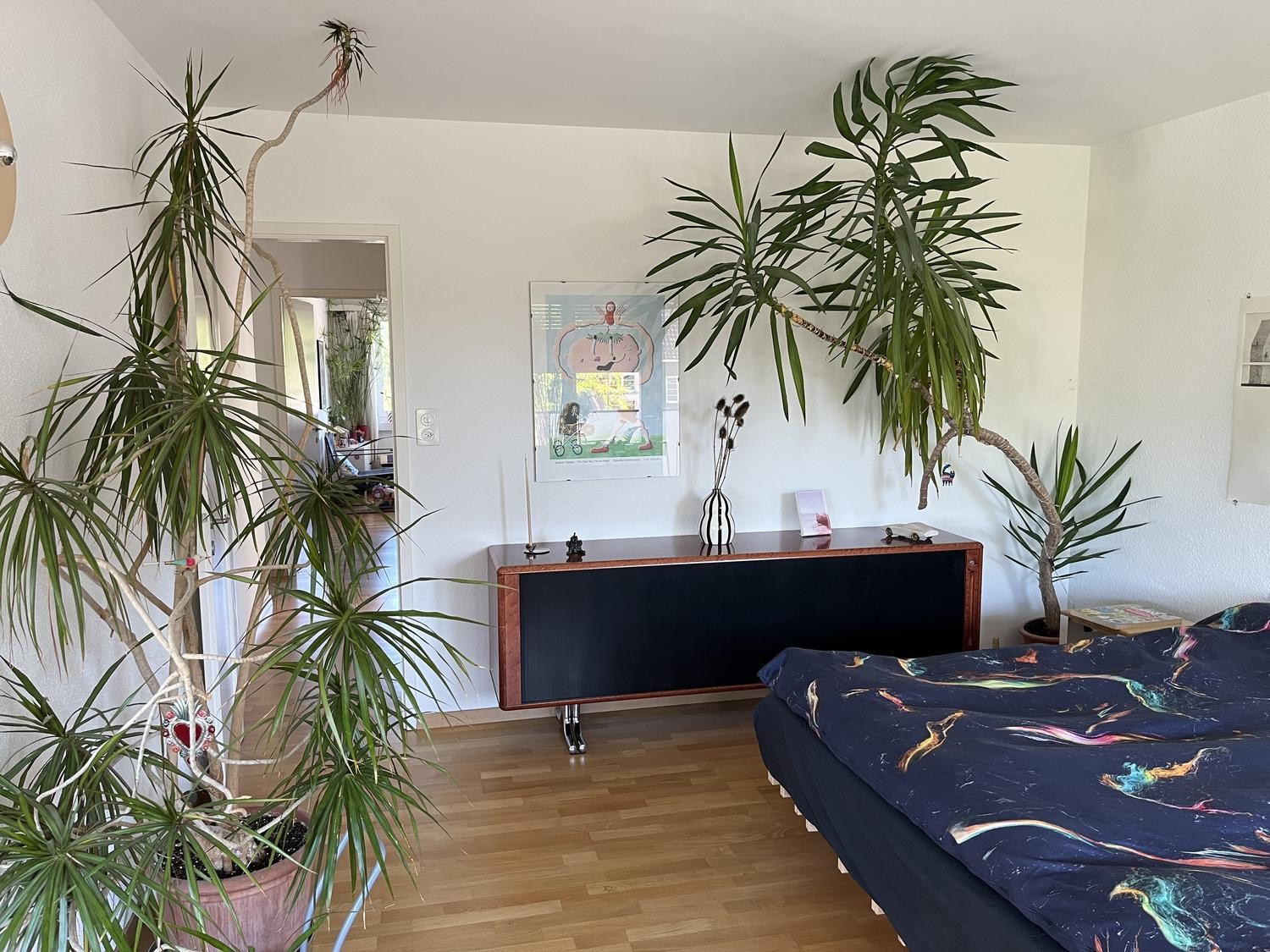 3 rooms apartment