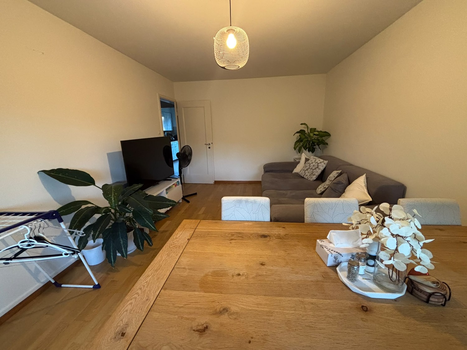 Room in a shared flat