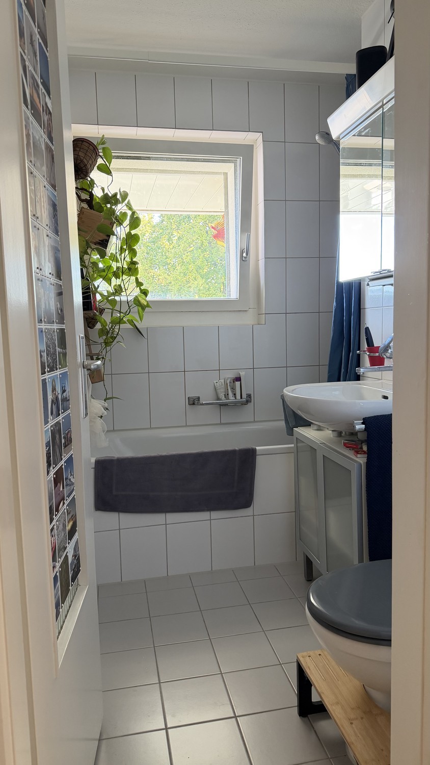 Room in a shared flat