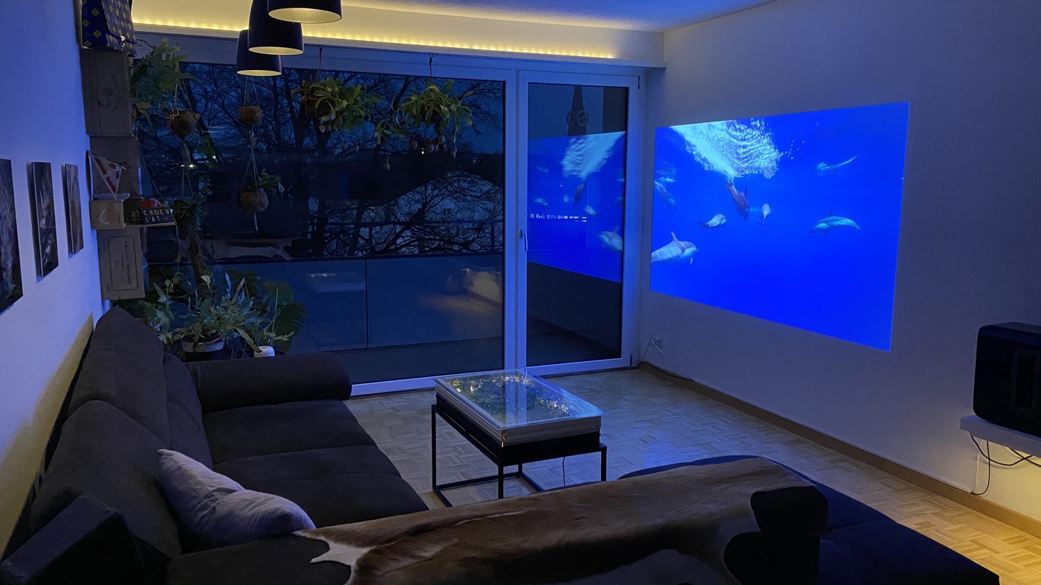 Room in a shared flat