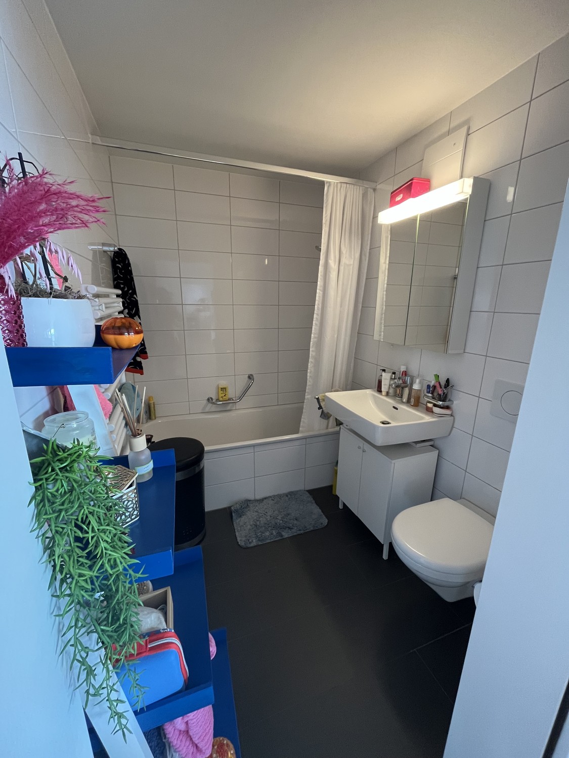 2 ½ Zimmer Wohnung