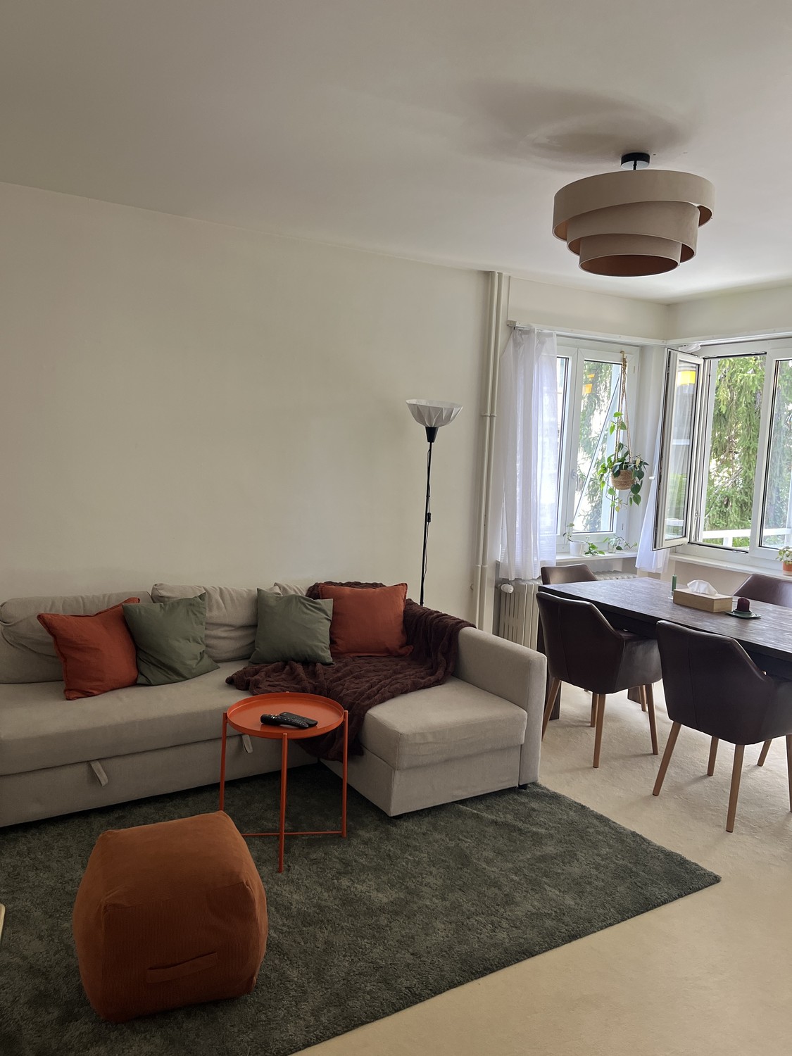 Appartement de 3 ½ pièces