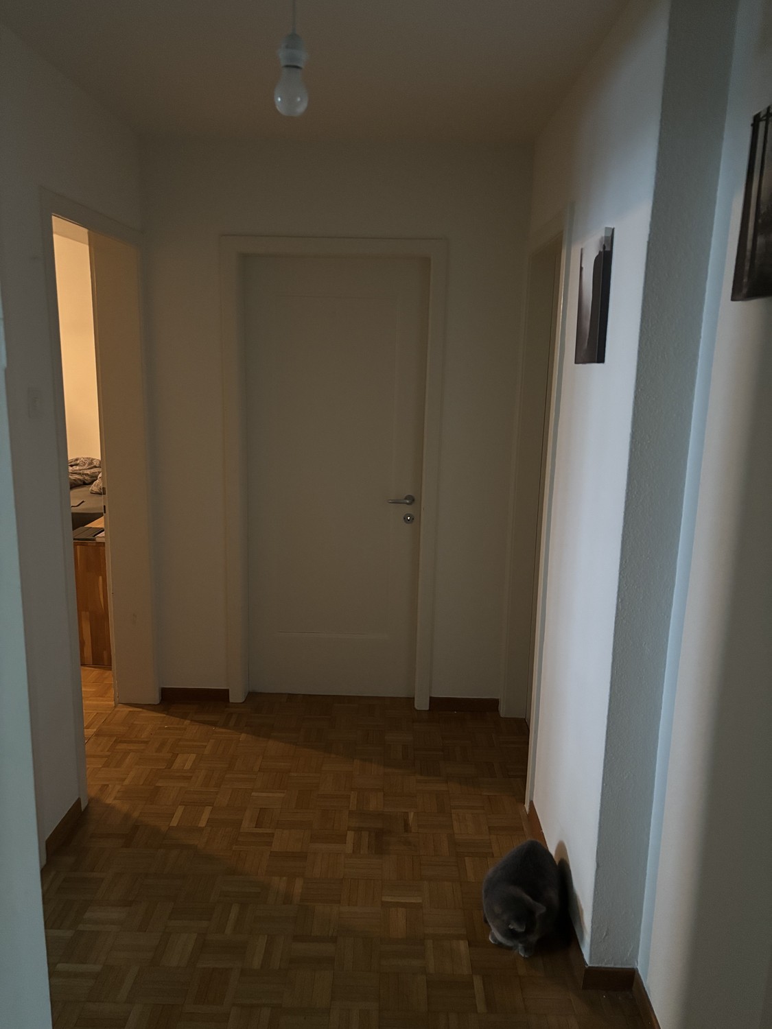 Zimmer in einer WG, Foto 3 von 5
