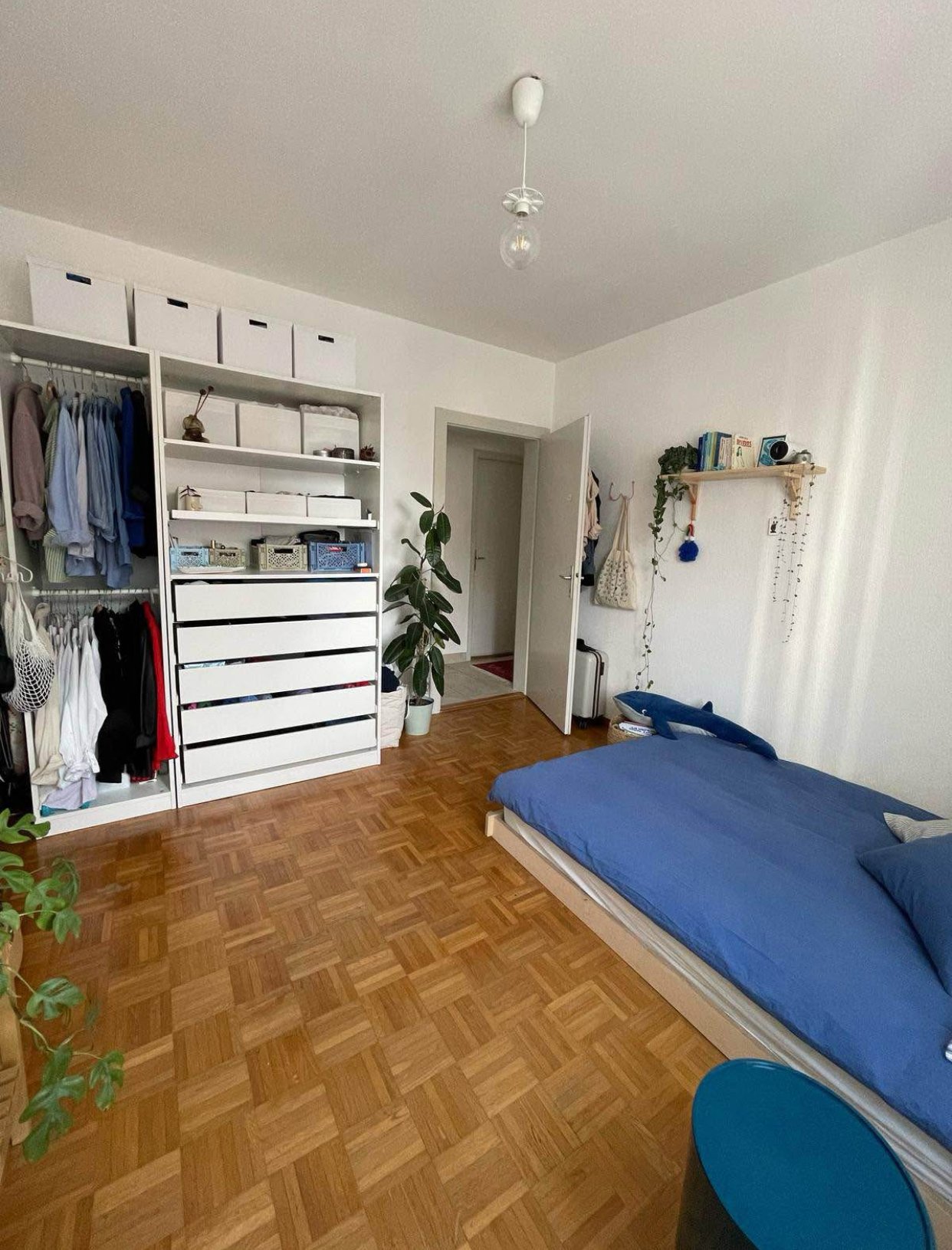 Chambre en colocation