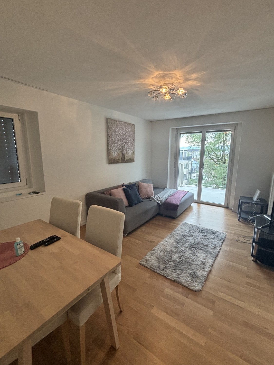 Appartement de 3 ½ pièces