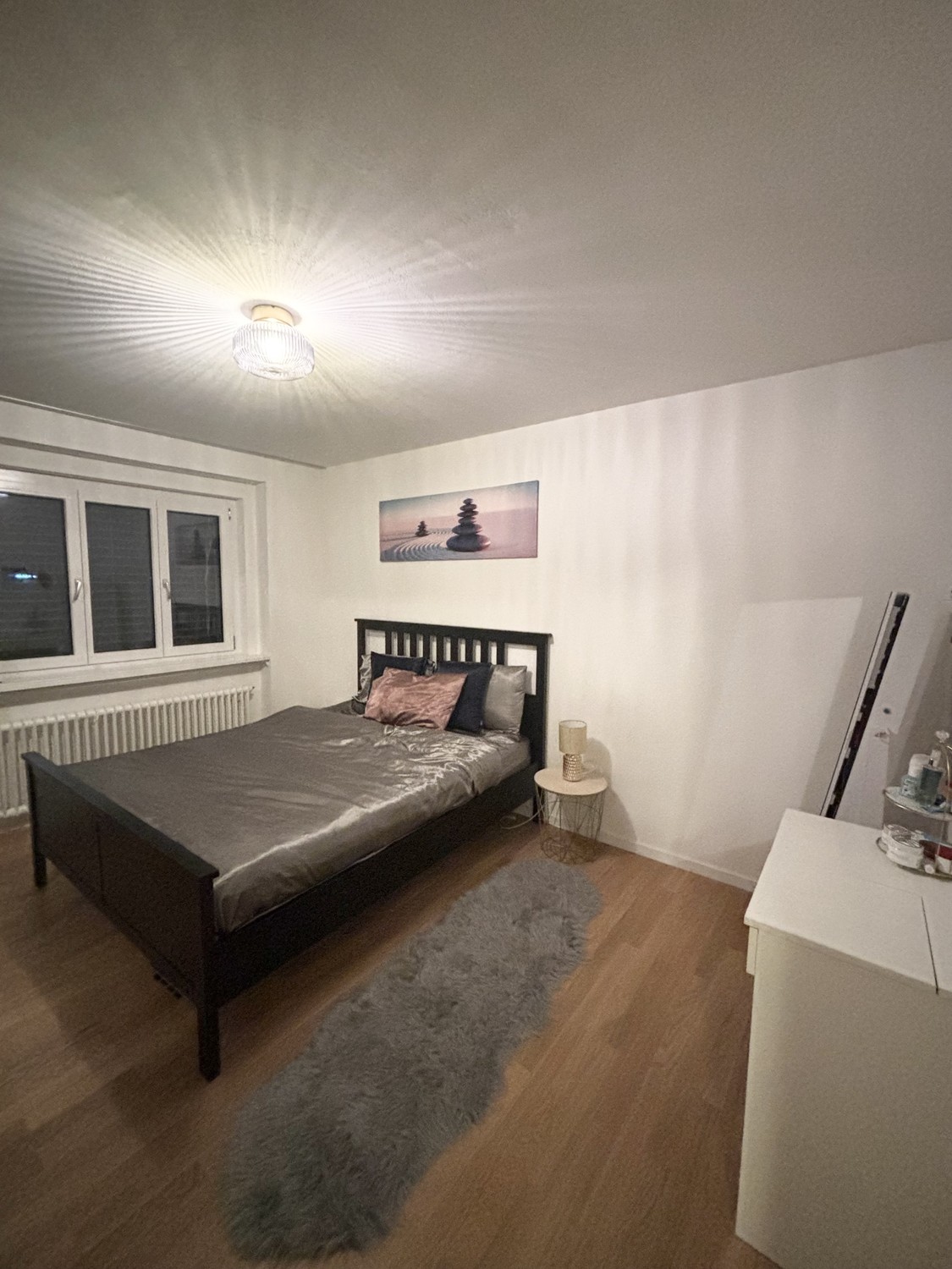 Appartement de 3 ½ pièces
