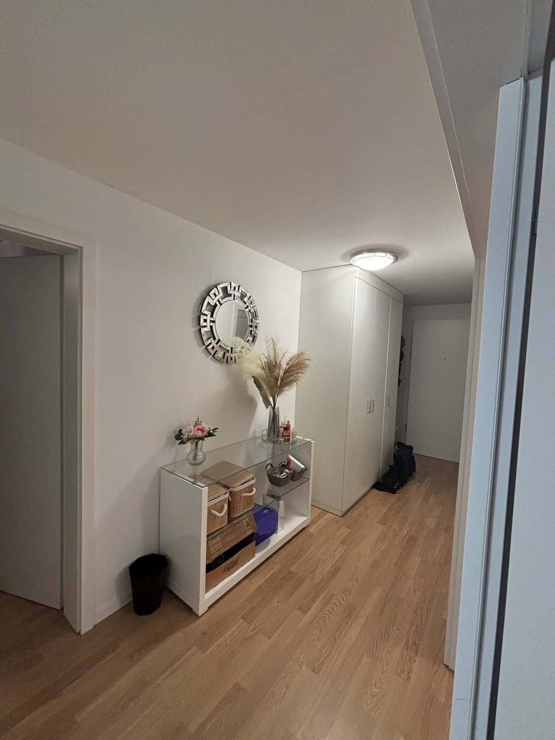 Appartement de 3 ½ pièces