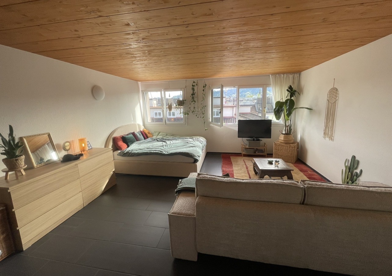1 room apartment